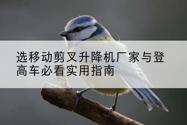 比如电动升降机厂家-选移动剪叉升降机厂家与登高车必看实用指南