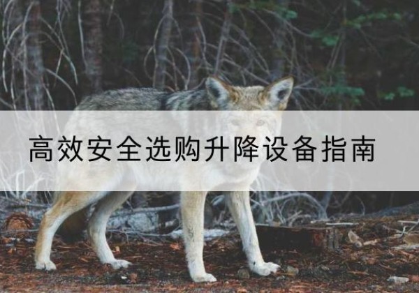 比如升降货梯厂家推荐-*安全选购升降设备指南
