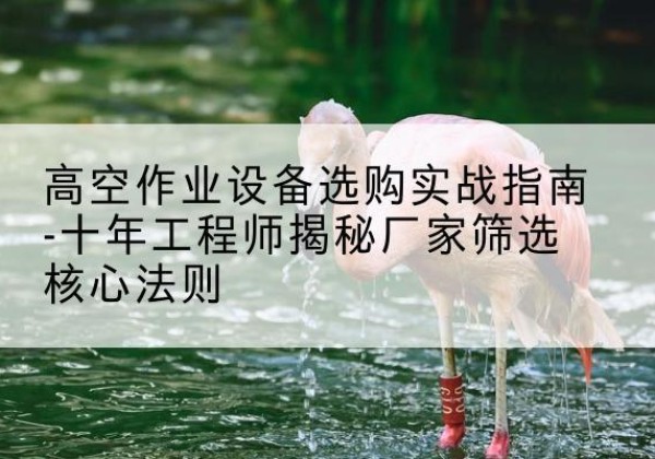 比如剪叉式升降机厂家-高空作业设备选购实战指南-十年工程师揭秘厂家筛选核心法则